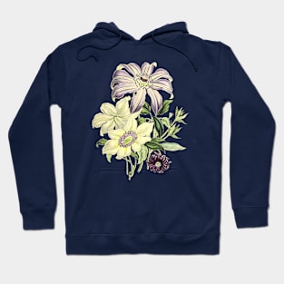 Clematis Flowers Vintage Botanical Illustration Hoodie